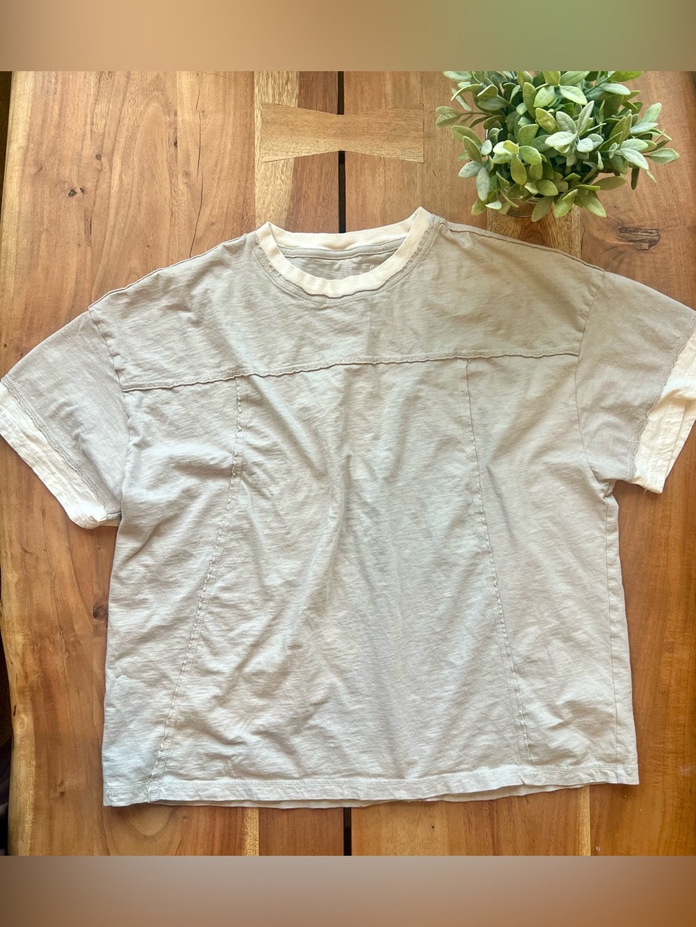 Aerie Relaxed Fit Tee - Womens Large